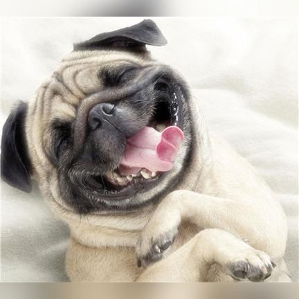 如何优化新闻头条置顶策略,选热门内容、推广机制全解析