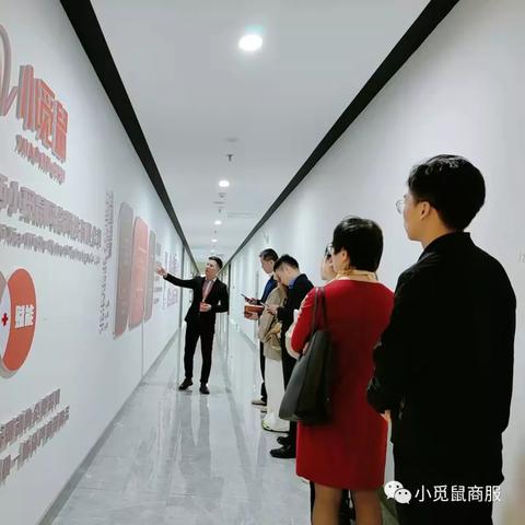 南昌抓猫多少钱一次啊最新消息,南昌专业抓老鼠