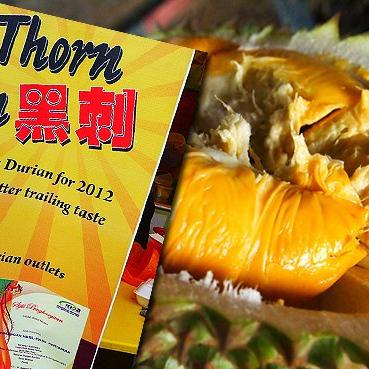 韩国公民赴台免签政策更新,旅游商务更便捷