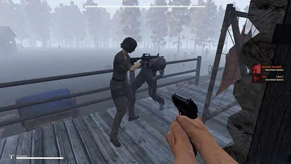 迷雾生存官方下载,深入执行数据应用|网页款_v4.652