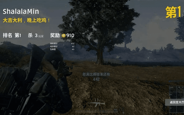 单机版旧吃鸡及怎样下载官方净网卫士,可靠评估说明&amp;3D_v6.773